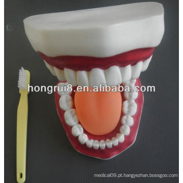 Modelo de Cuidados Dentários Médicos de Estilo Novo, modelo de cuidados dentários